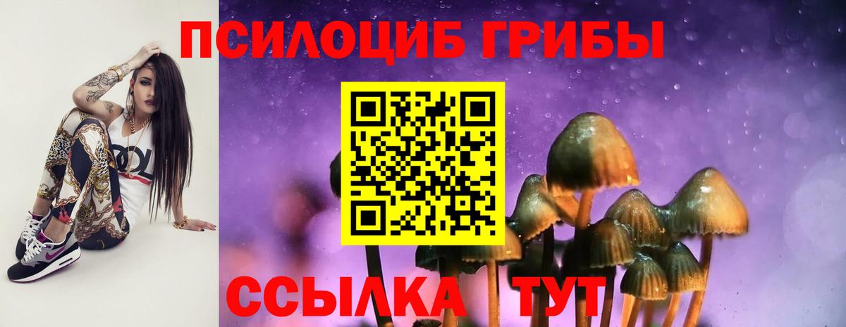 Галлюциногенные грибы Psilocybe Кумертау